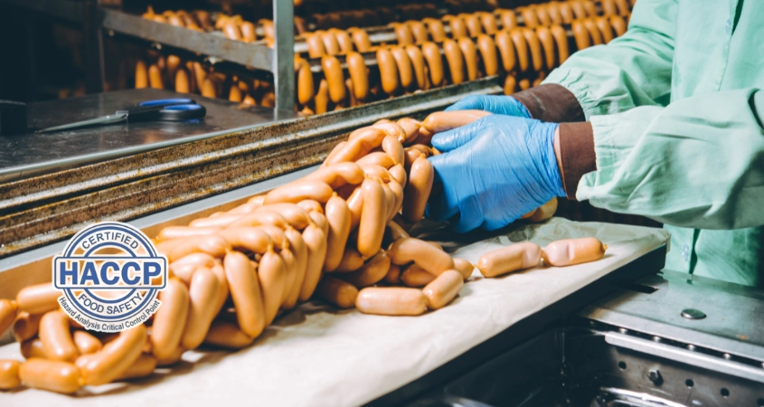 Chứng nhận HACCP cho nhà máy thực phẩm