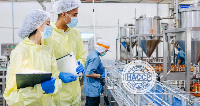 Đào tạo nhân sự HACCP