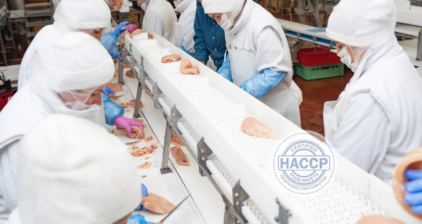 Hầu hết các doanh nghiệp trong lĩnh vực kinh doanh thực phẩm đều bắt buộc tuân thủ tiêu chuẩn HACCP