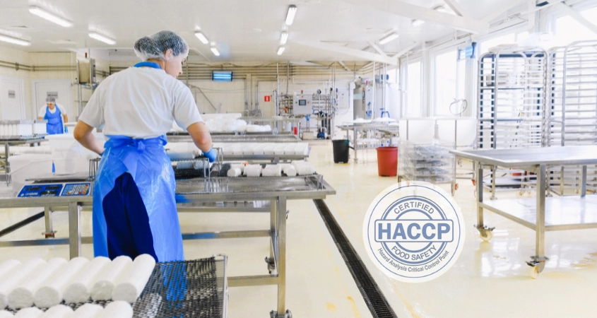 Hệ thống HACCP chỉ hiệu quả khi được duy trì và cải tiến thường xuyên.